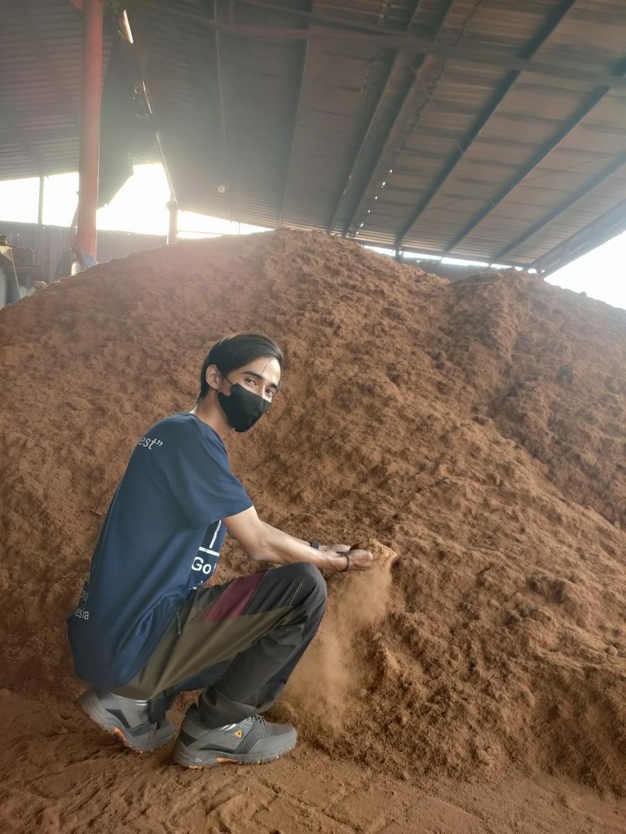 Loose natural cocopeat pile at the processing site in East Java