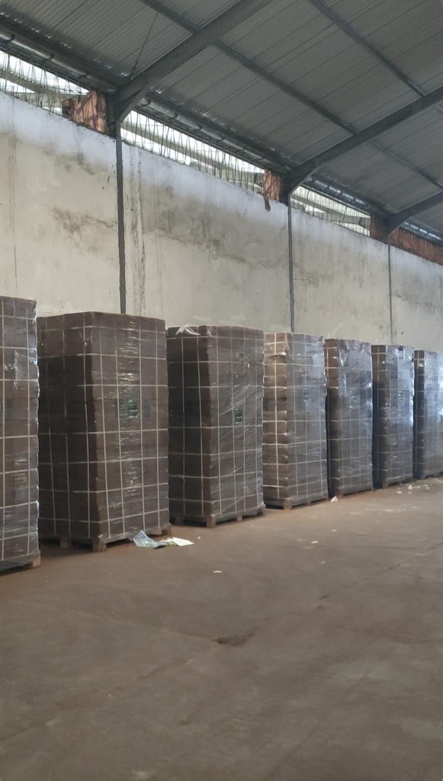 Rows of shrink-wrapped pallets of 5 kg cocopeat blocks in the Agrorise warehouse